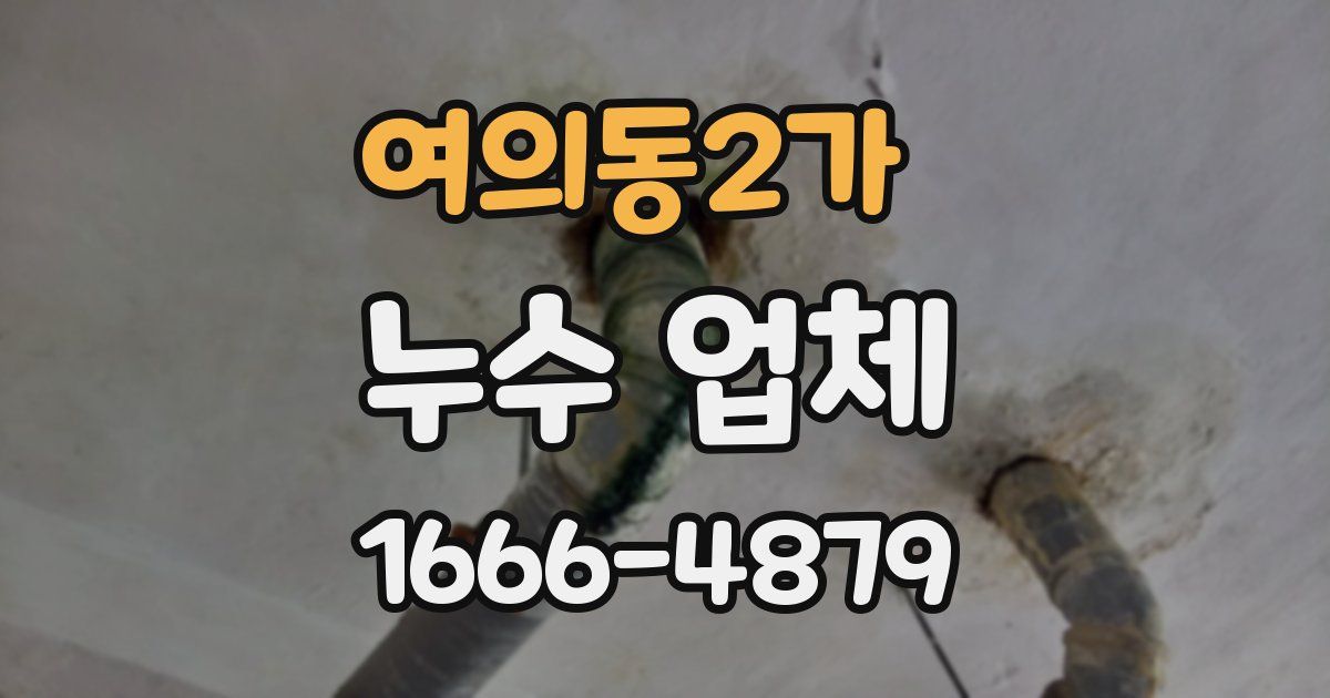 여의동2가 누수 업체