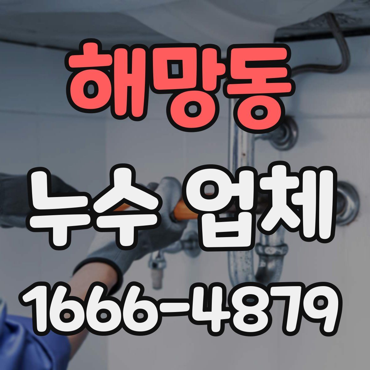 해망동 누수 업체