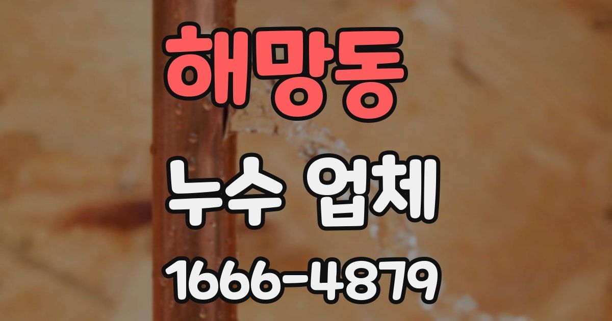 해망동 누수 업체