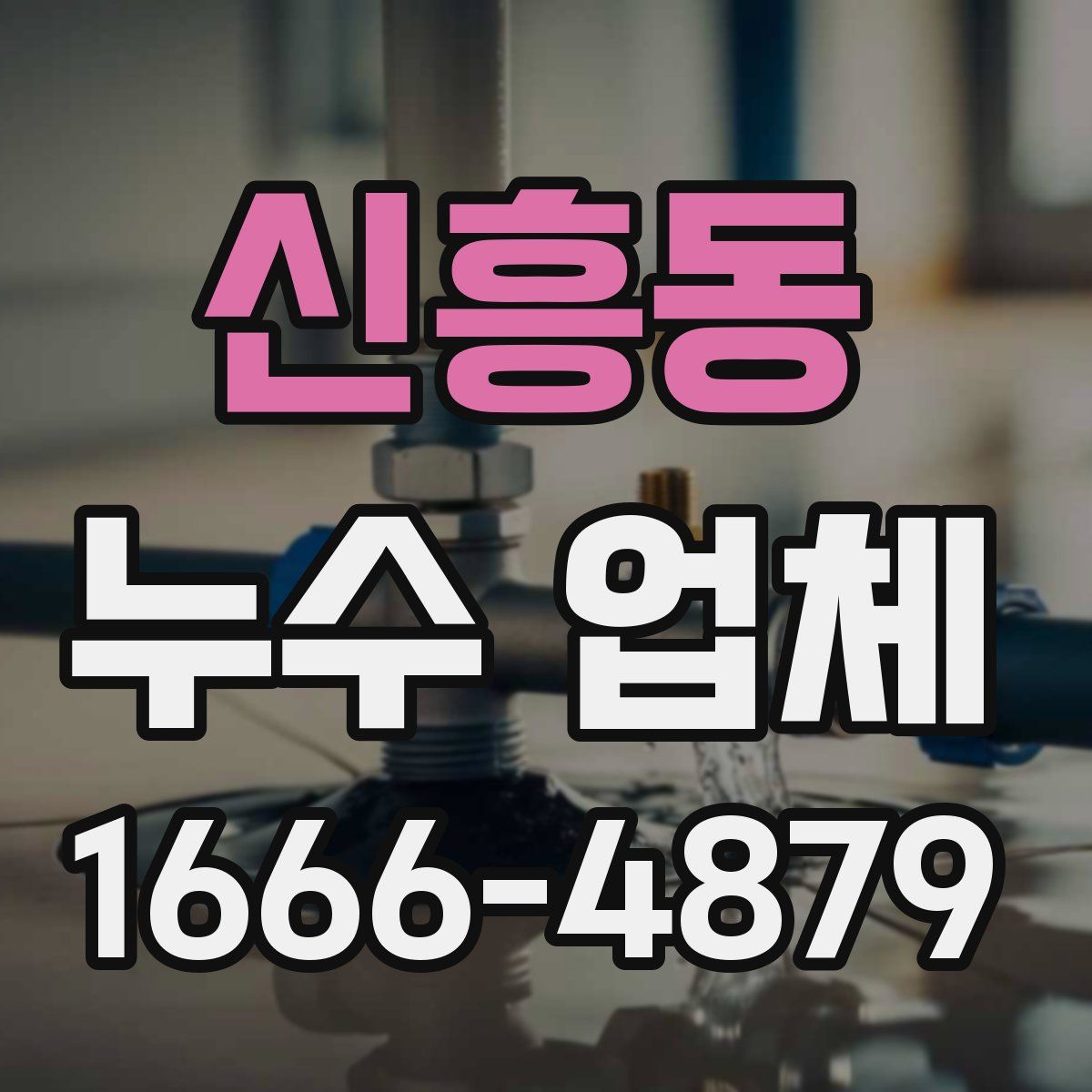 신흥동 누수 업체