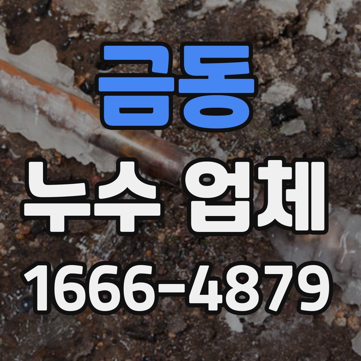 금동 누수 업체