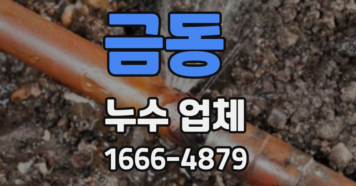 금동 누수 업체