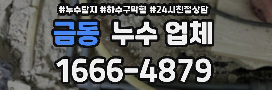 금동 누수 업체