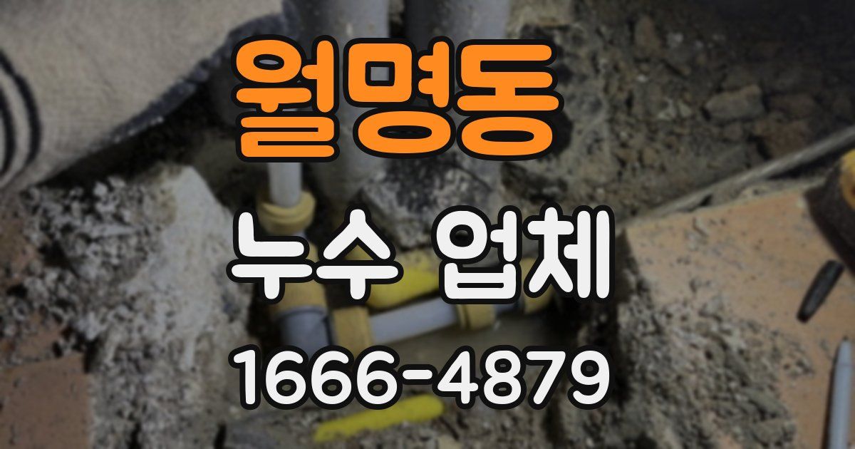 월명동 누수 업체