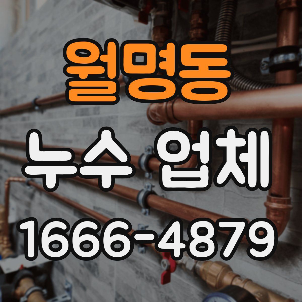 월명동 누수 업체
