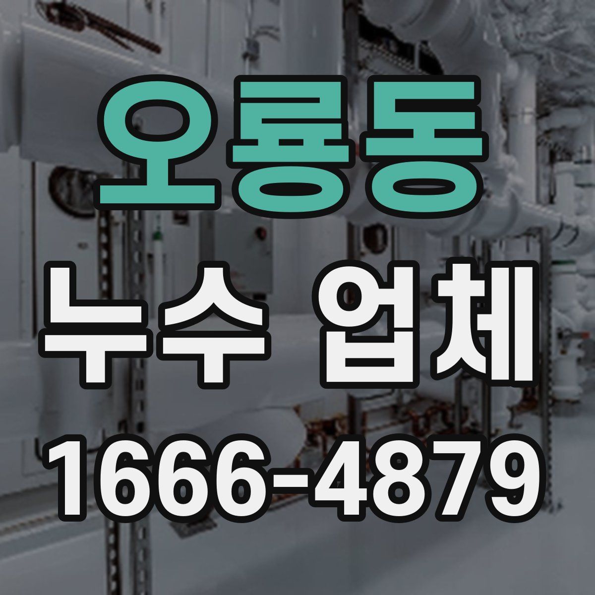 오룡동 누수 업체