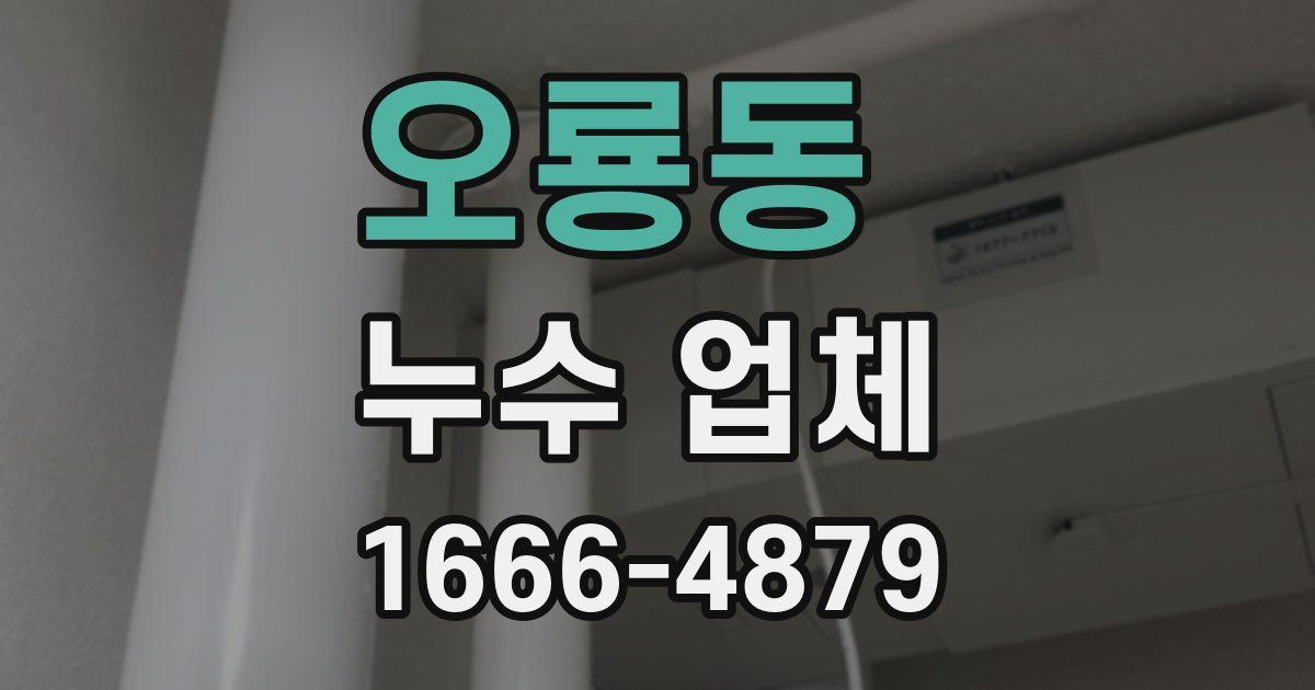 오룡동 누수 업체