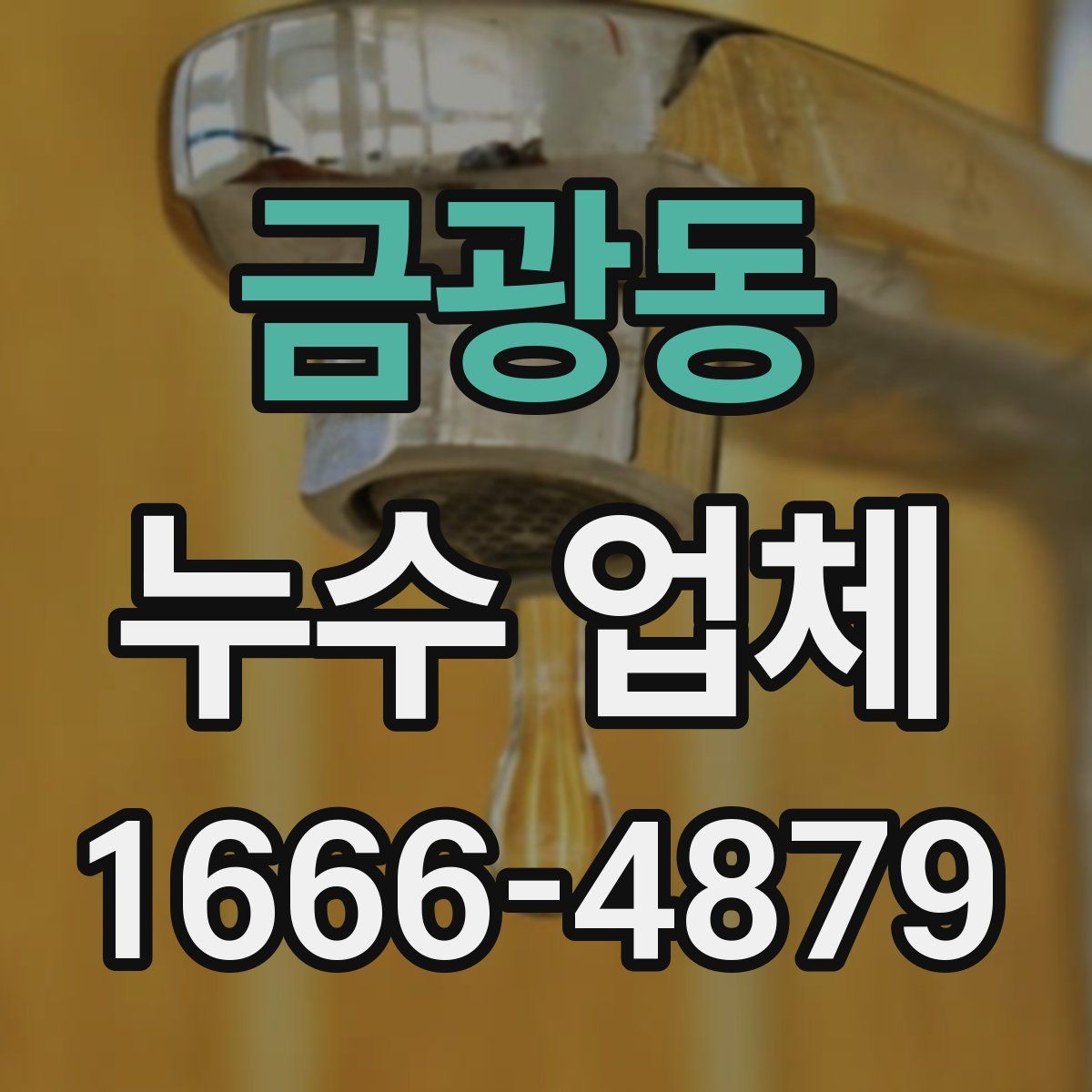 금광동 누수 업체