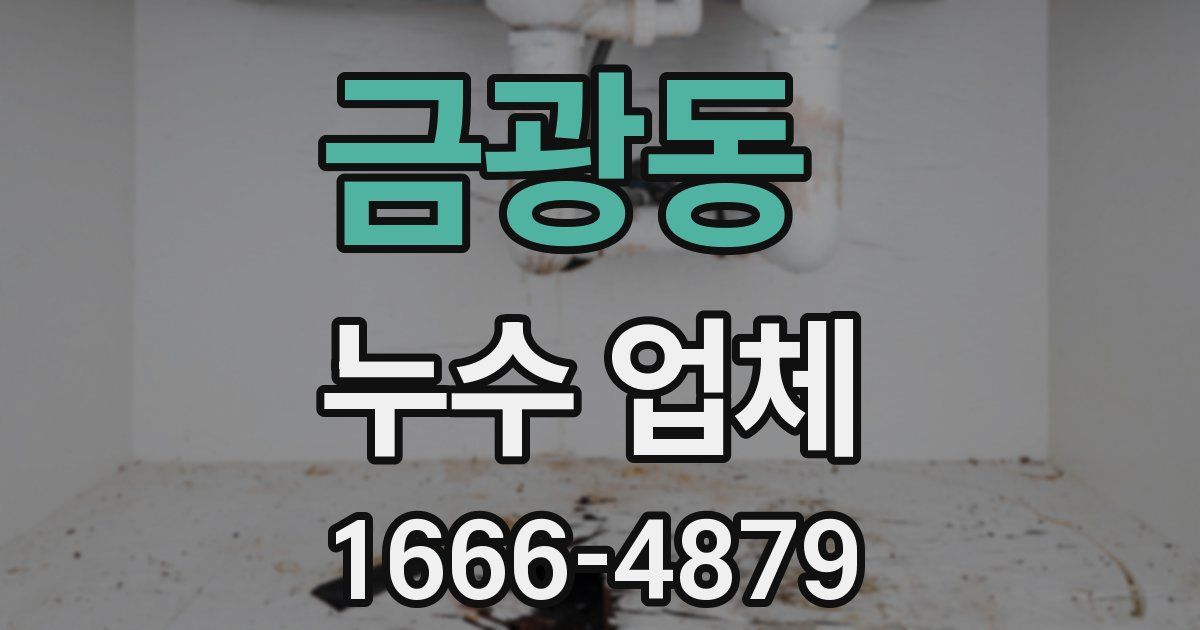 금광동 누수 업체