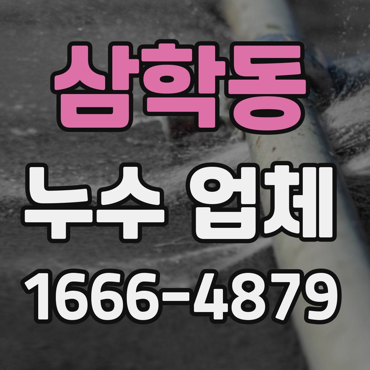 삼학동 누수 업체
