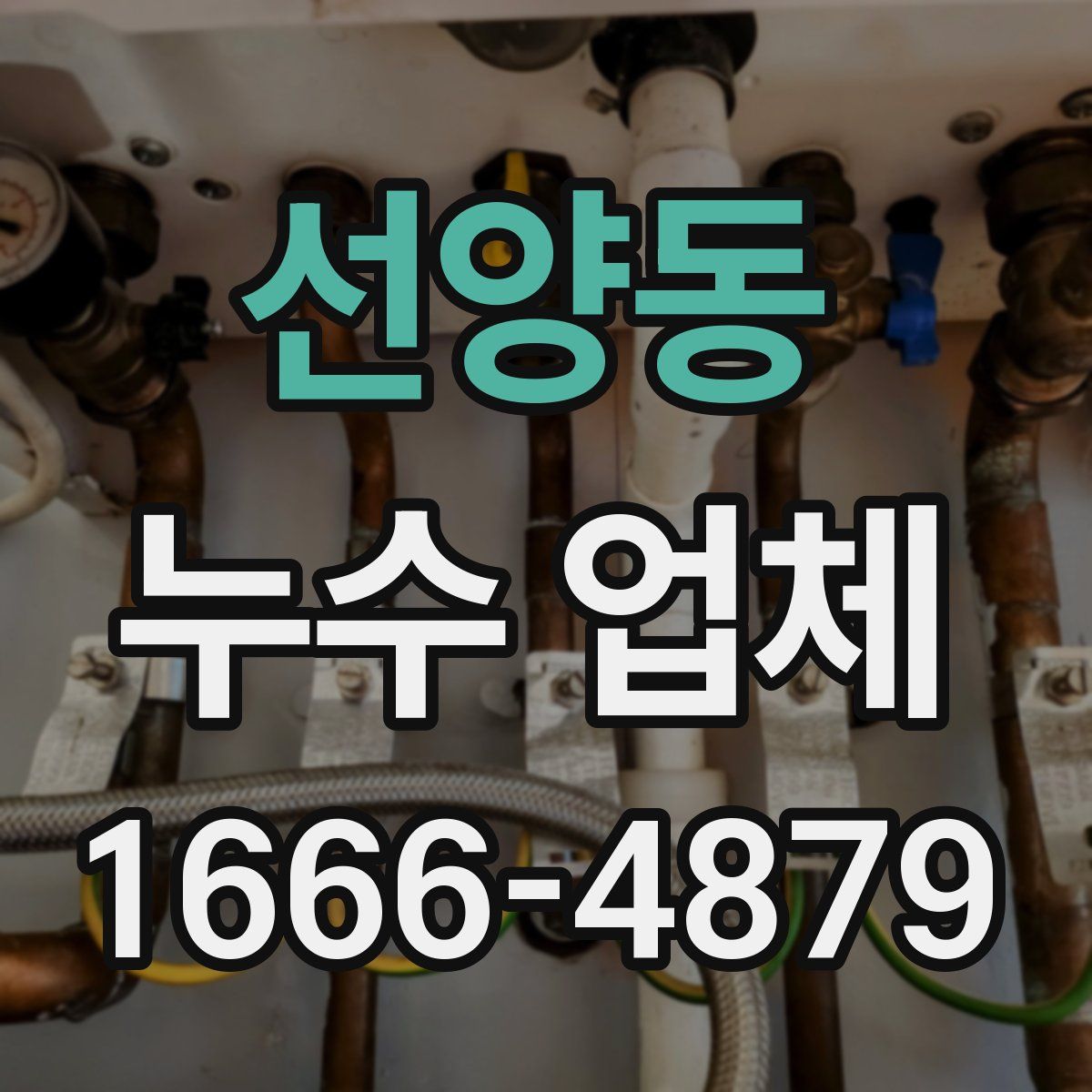 선양동 누수 업체