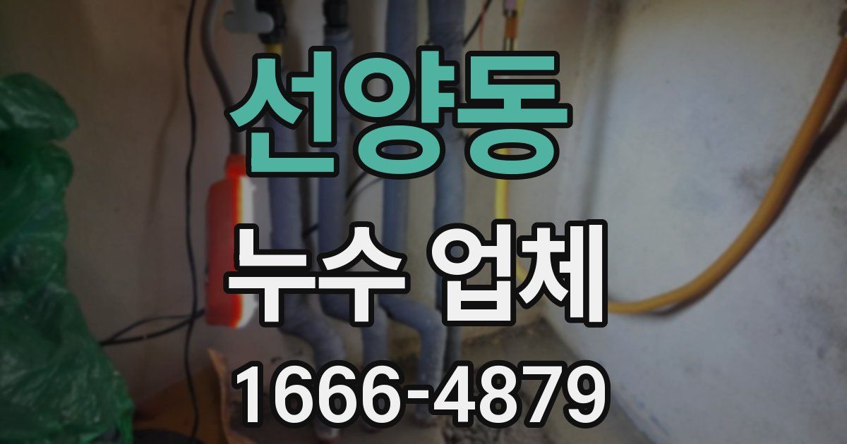 선양동 누수 업체