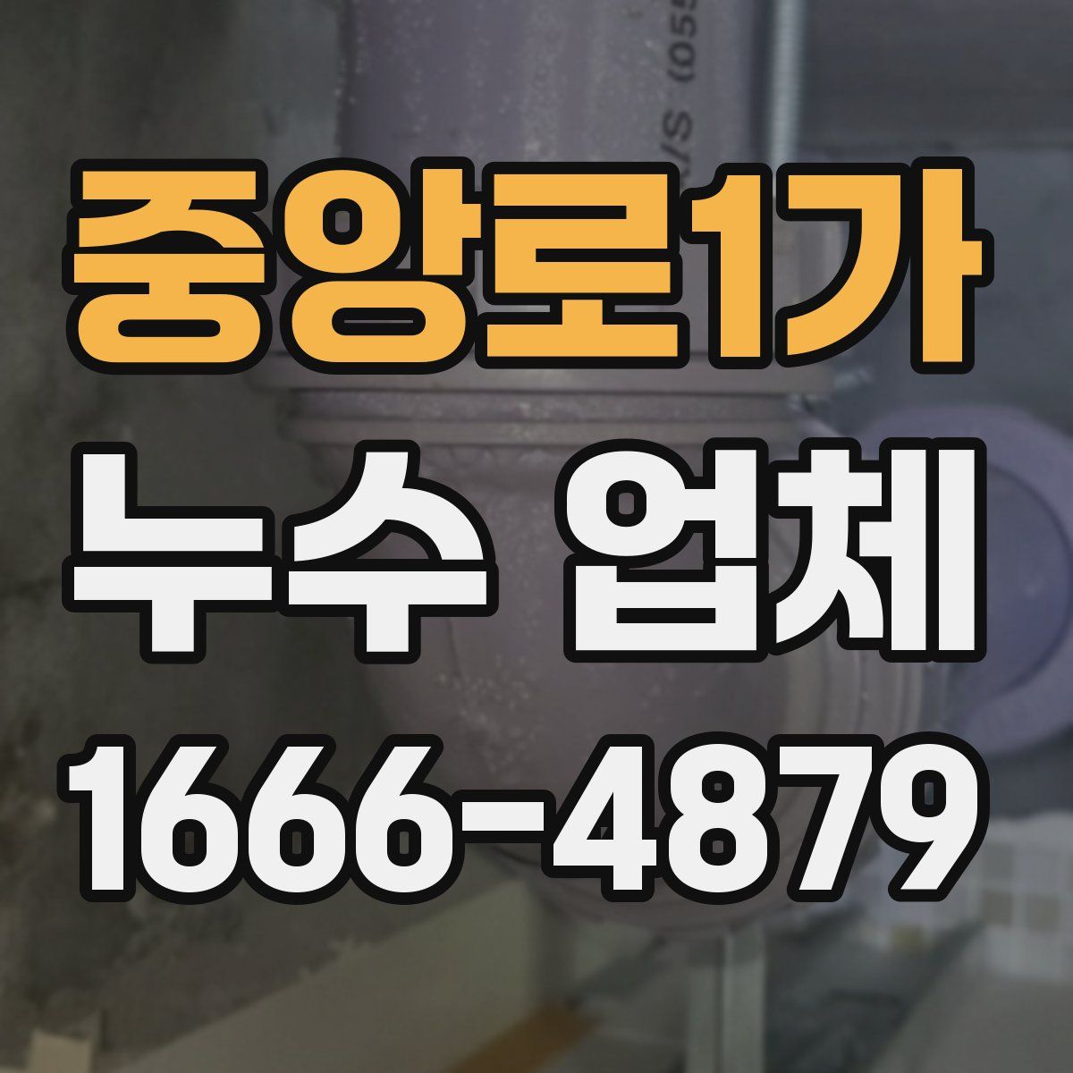 중앙로1가 누수 업체