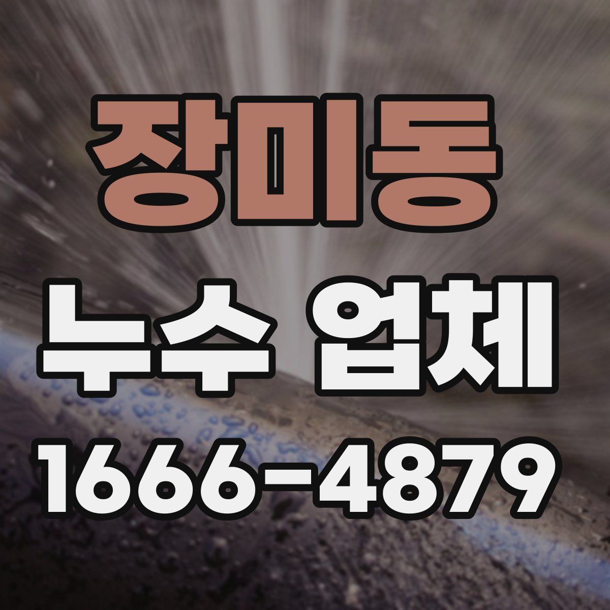 장미동 누수 업체