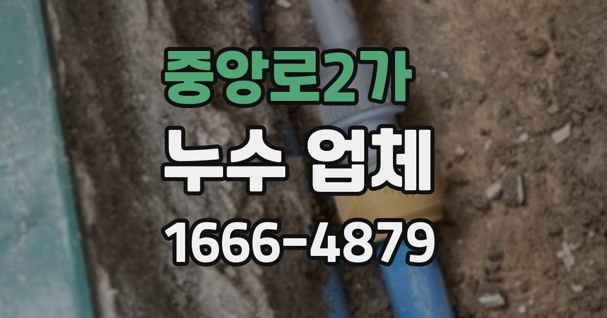 중앙로2가 누수 업체
