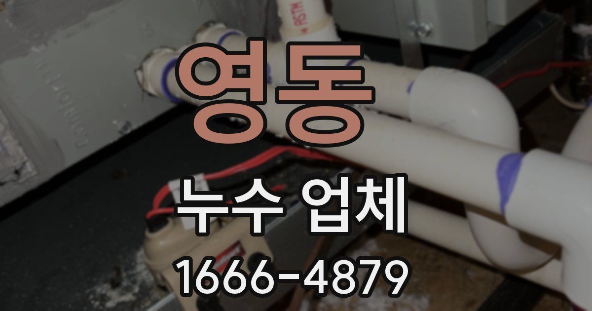영동 누수 업체