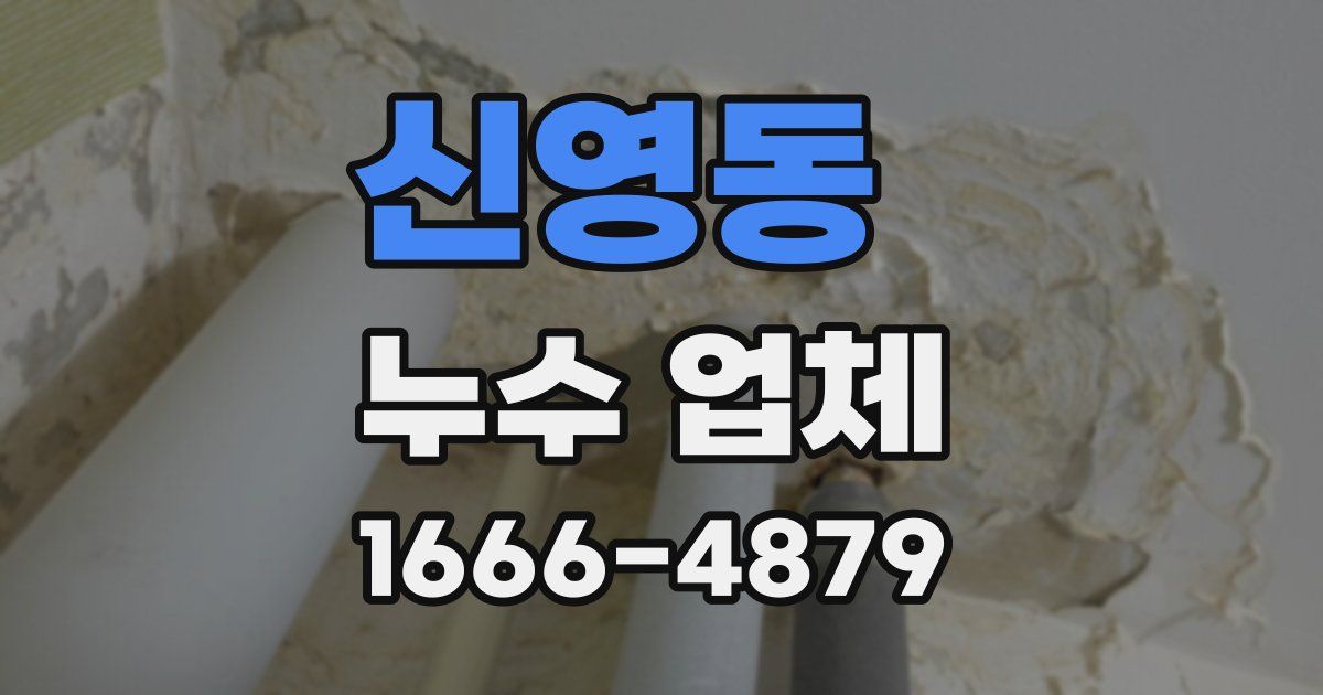 신영동 누수 업체