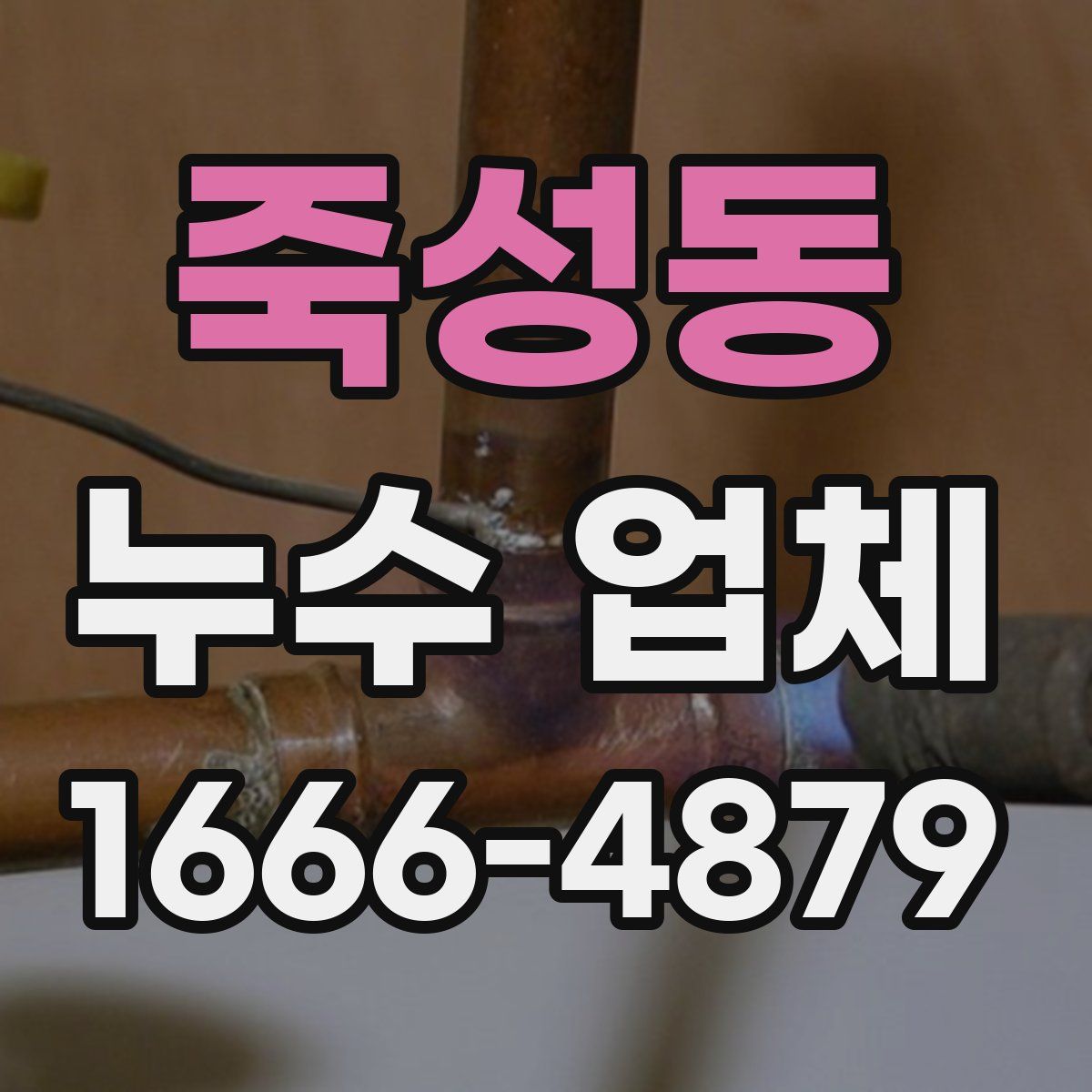 죽성동 누수 업체