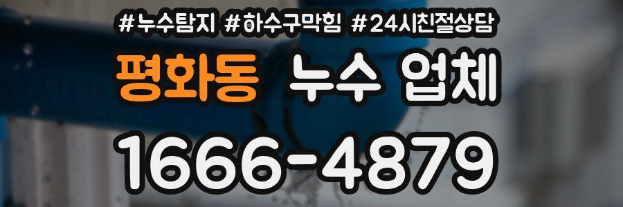 평화동 누수 업체