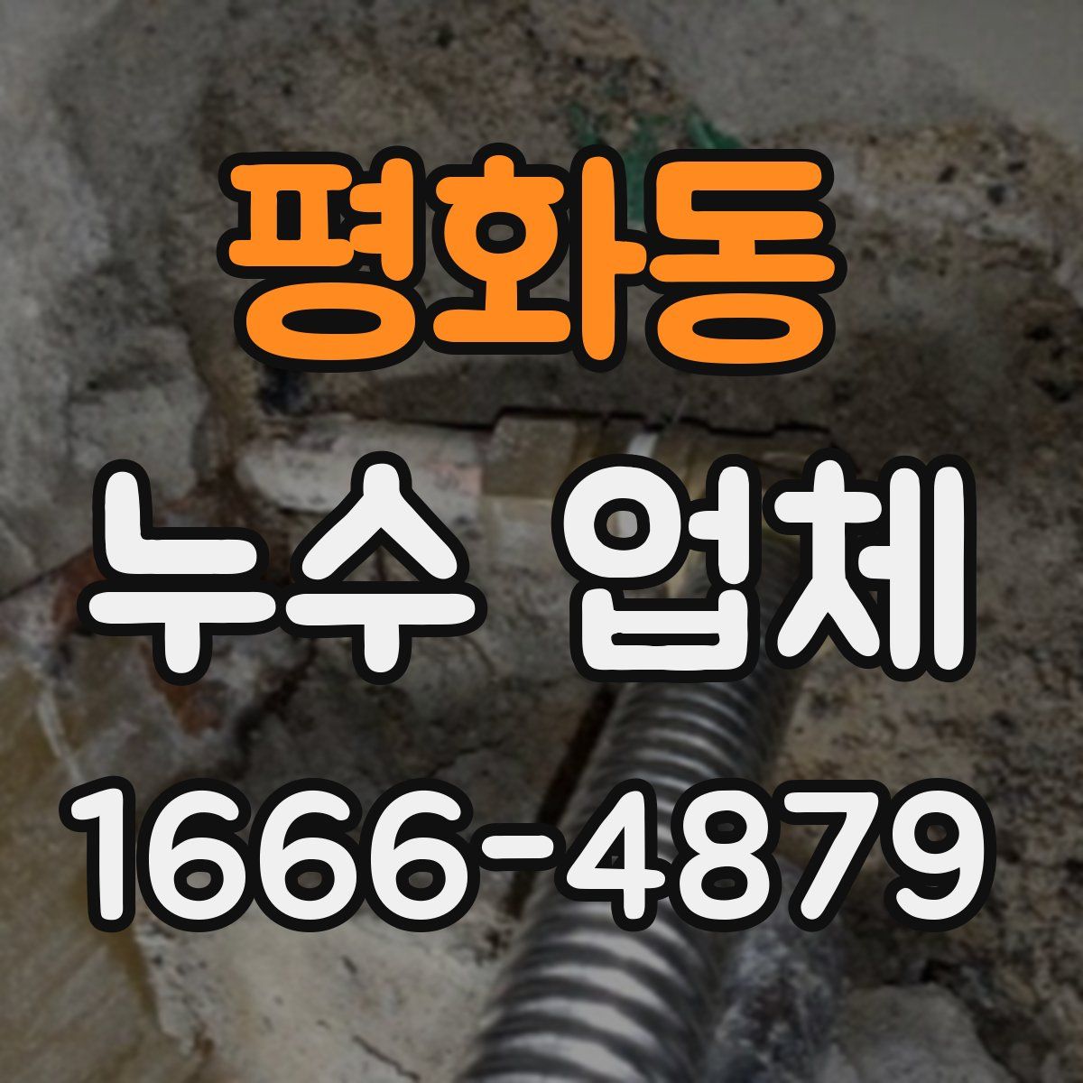 평화동 누수 업체