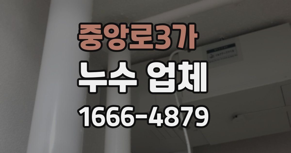 중앙로3가 누수 업체