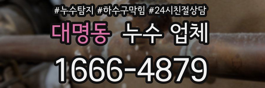 대명동 누수 업체