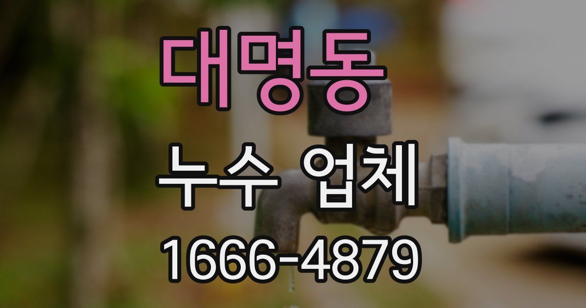 대명동 누수 업체