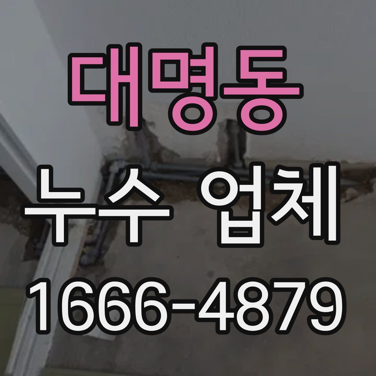 대명동 누수 업체