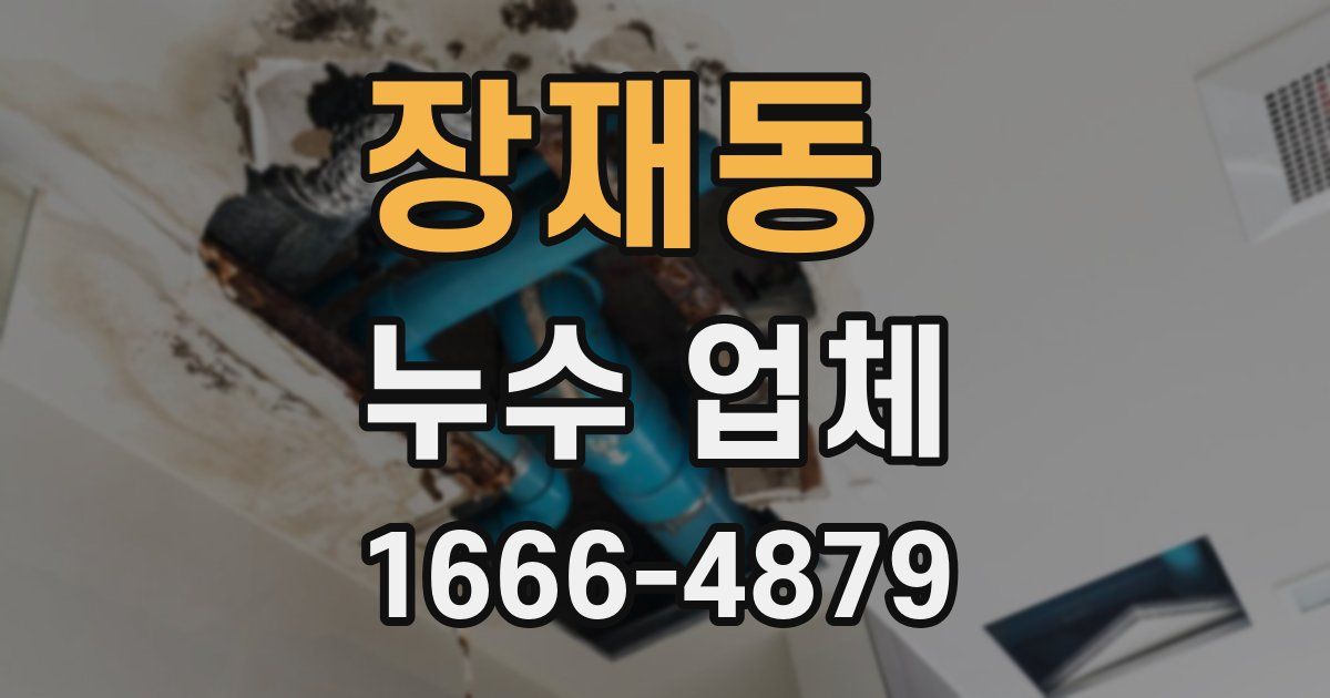 장재동 누수 업체