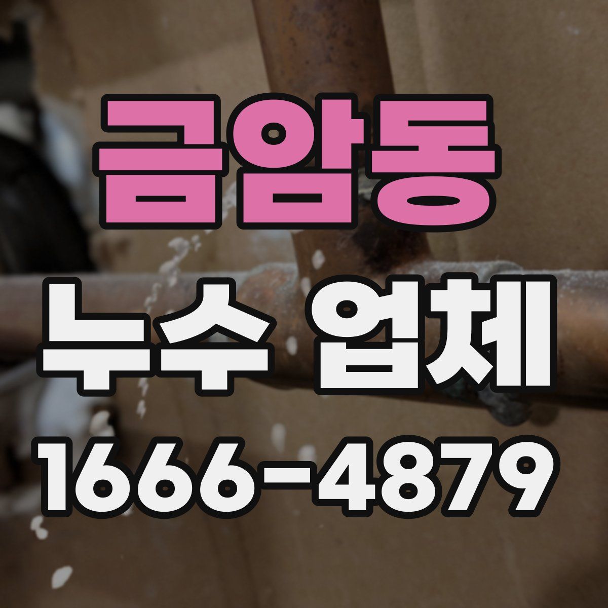 금암동 누수 업체