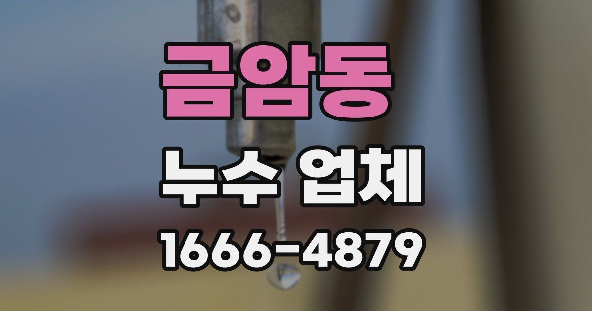 금암동 누수 업체