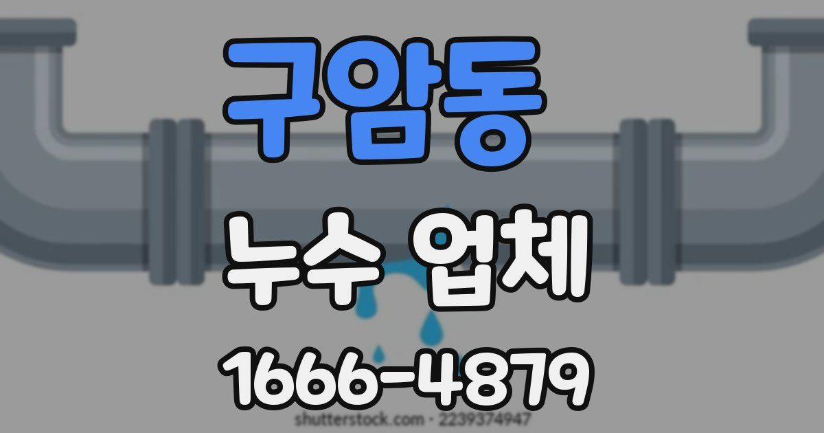 구암동 누수 업체