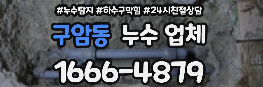 구암동 누수 업체