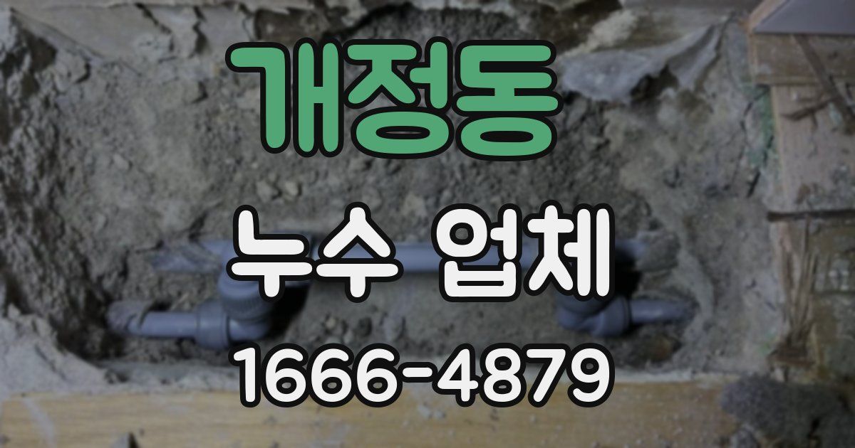 개정동 누수 업체
