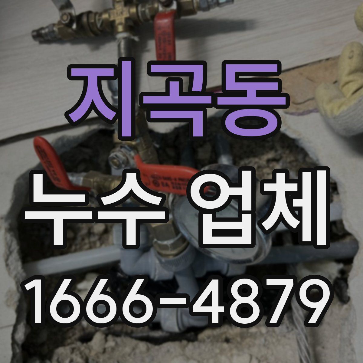 지곡동 누수 업체