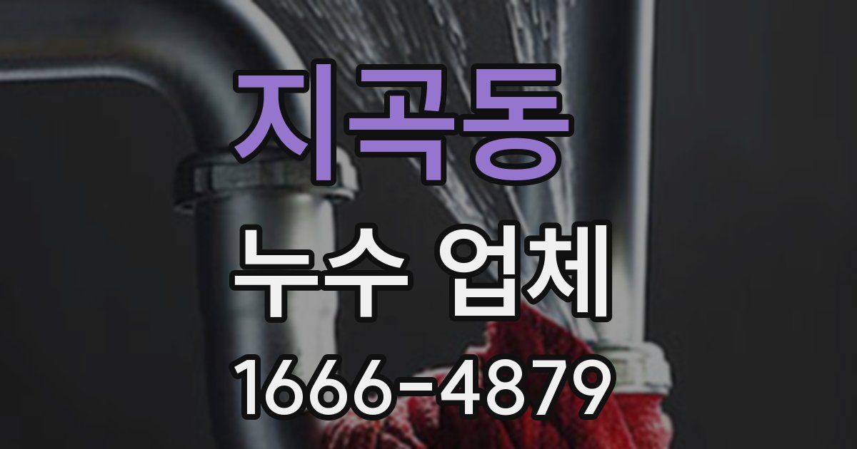 지곡동 누수 업체