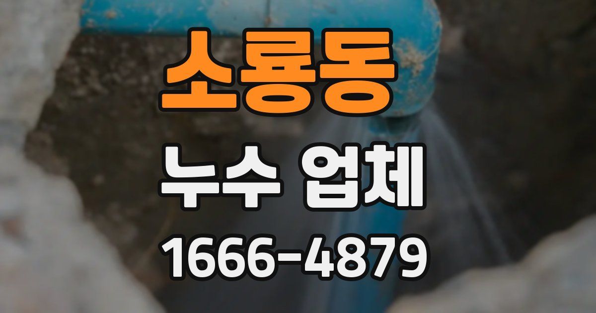 소룡동 누수 업체