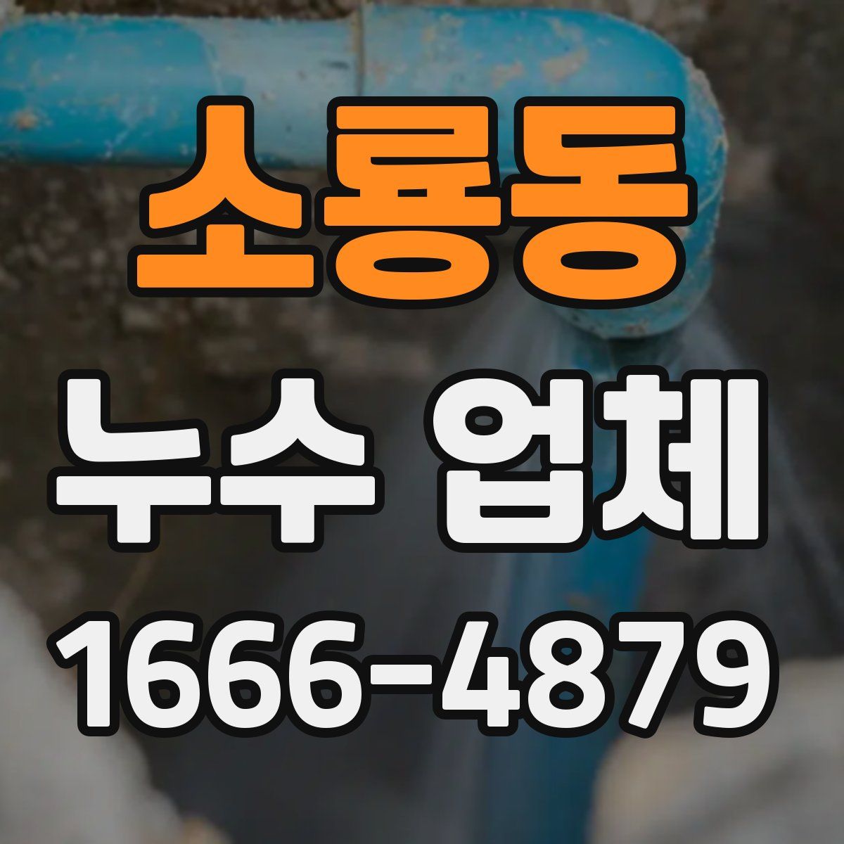 소룡동 누수 업체