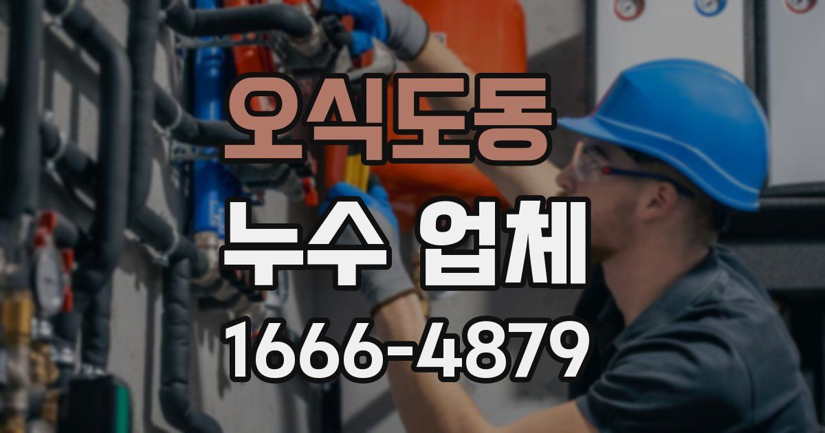 오식도동 누수 업체