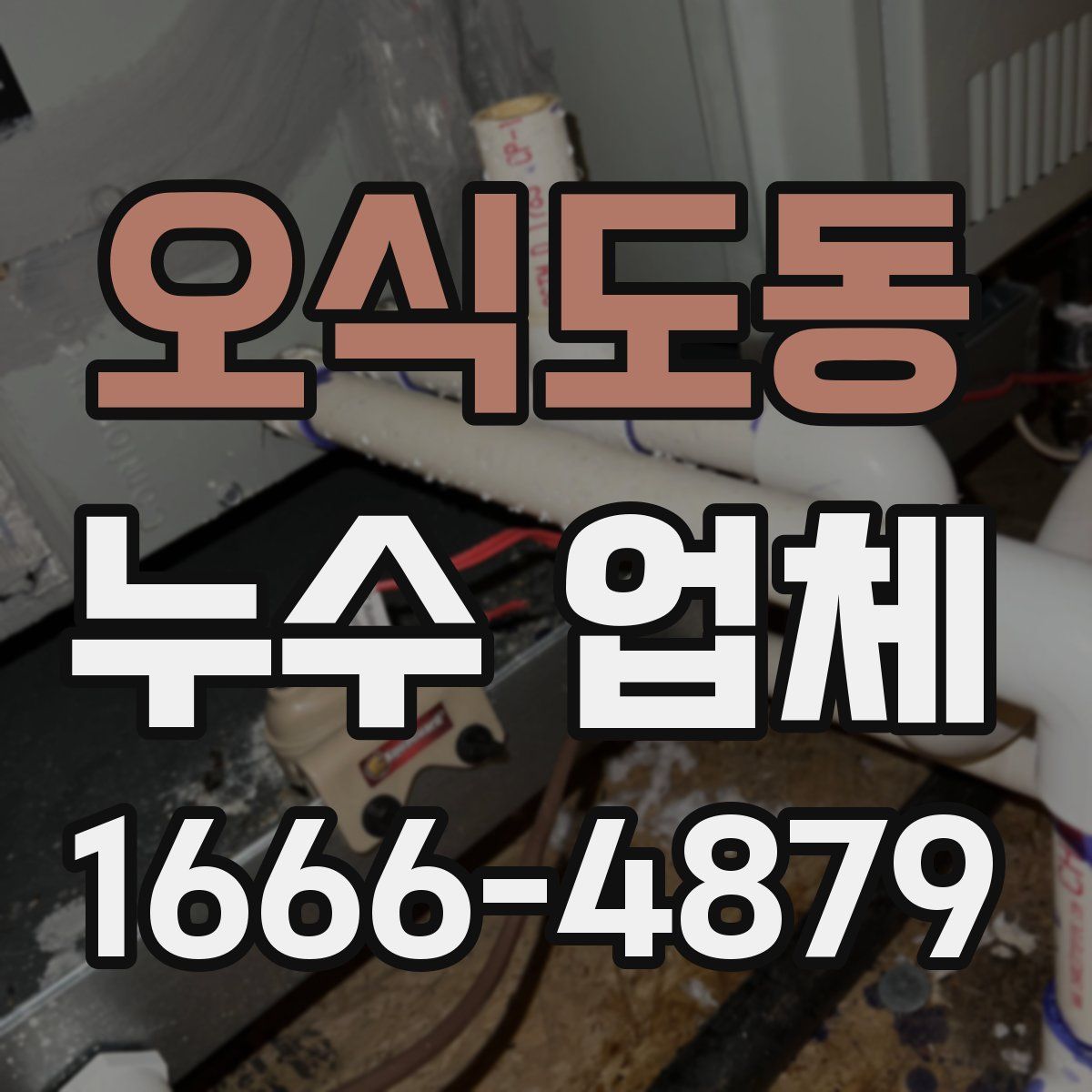 오식도동 누수 업체