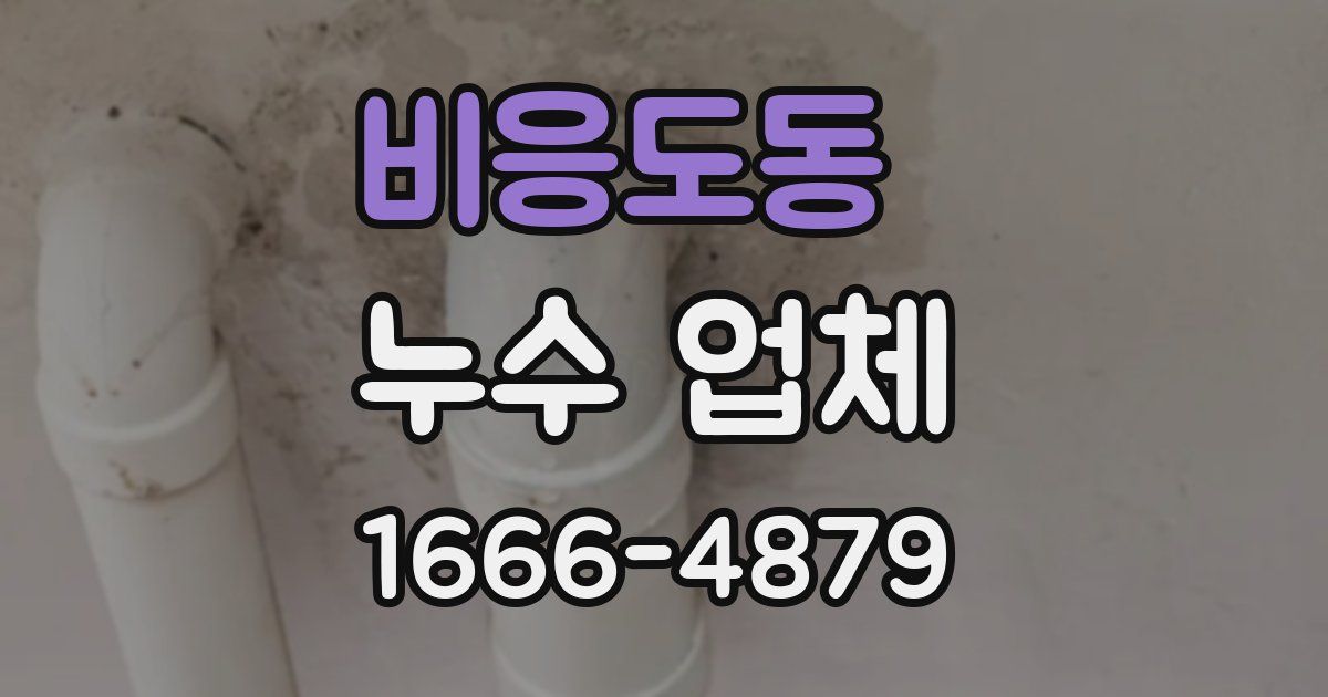 비응도동 누수 업체