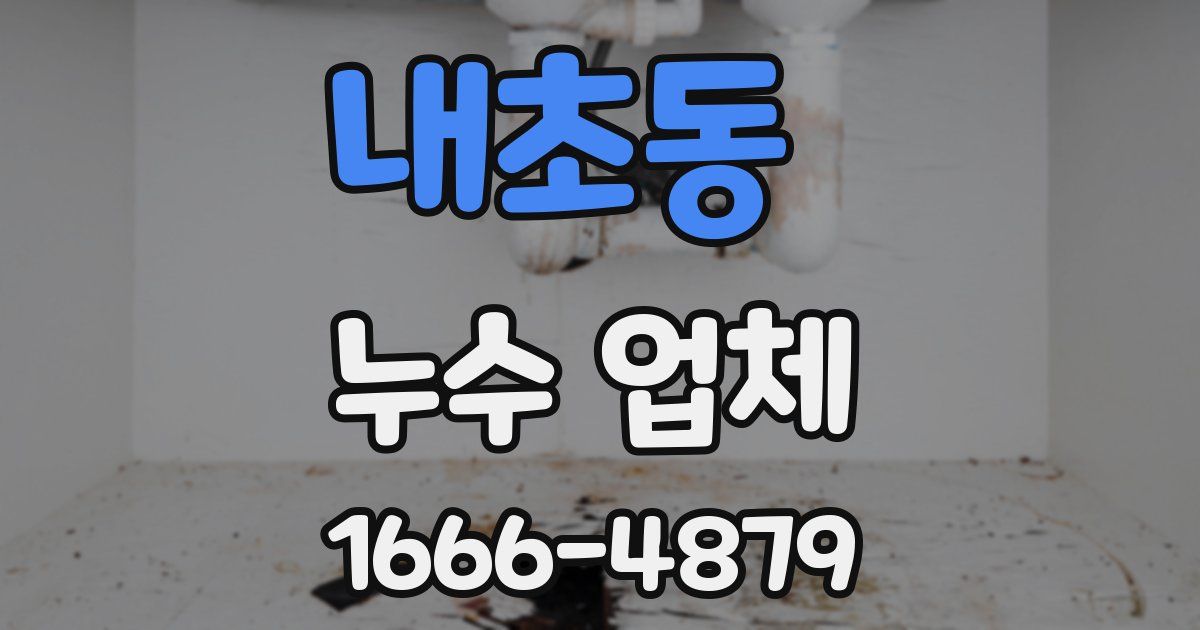 내초동 누수 업체