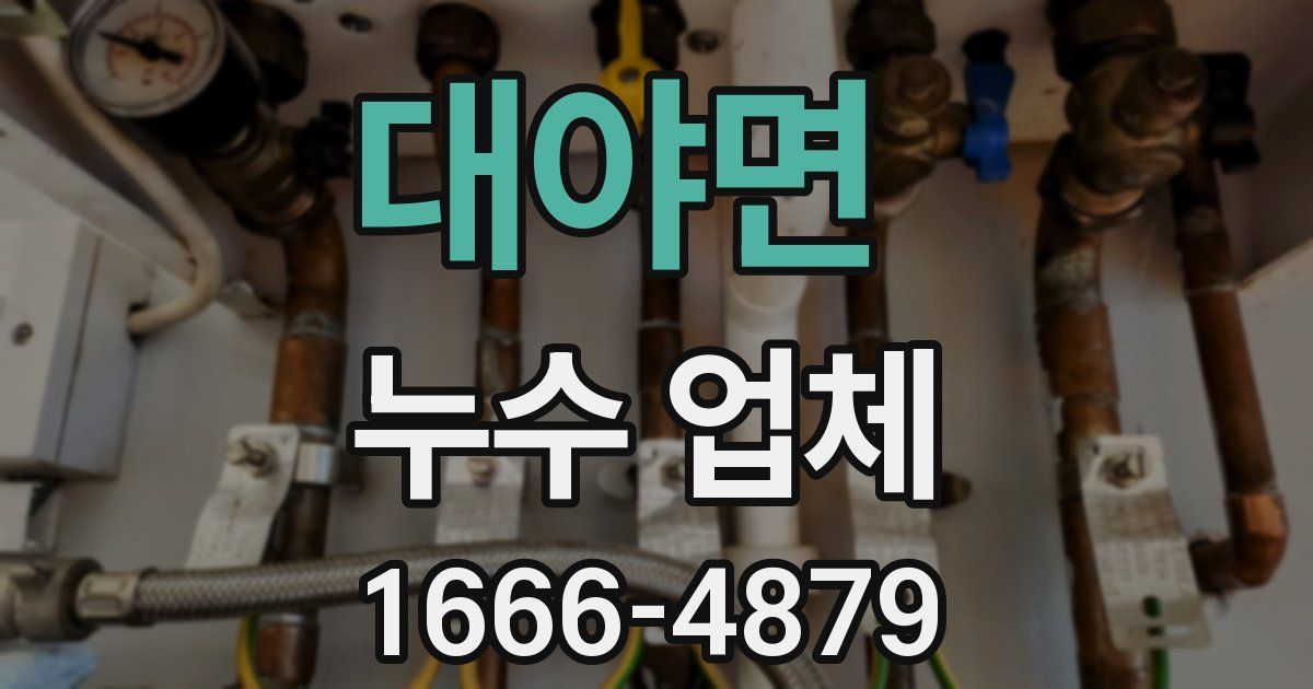 대야면 누수 업체