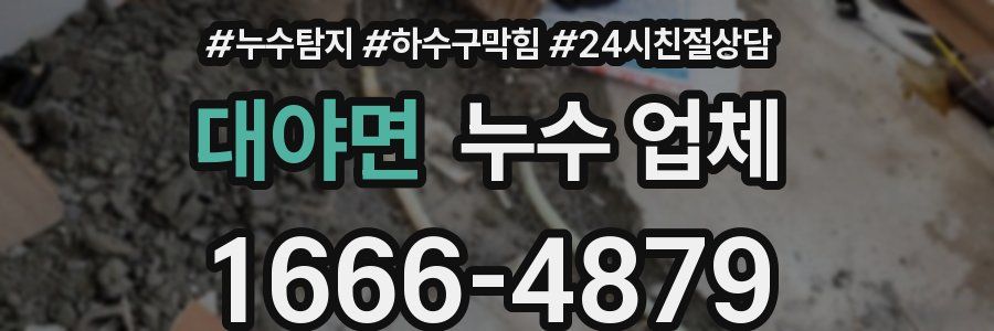 대야면 누수 업체