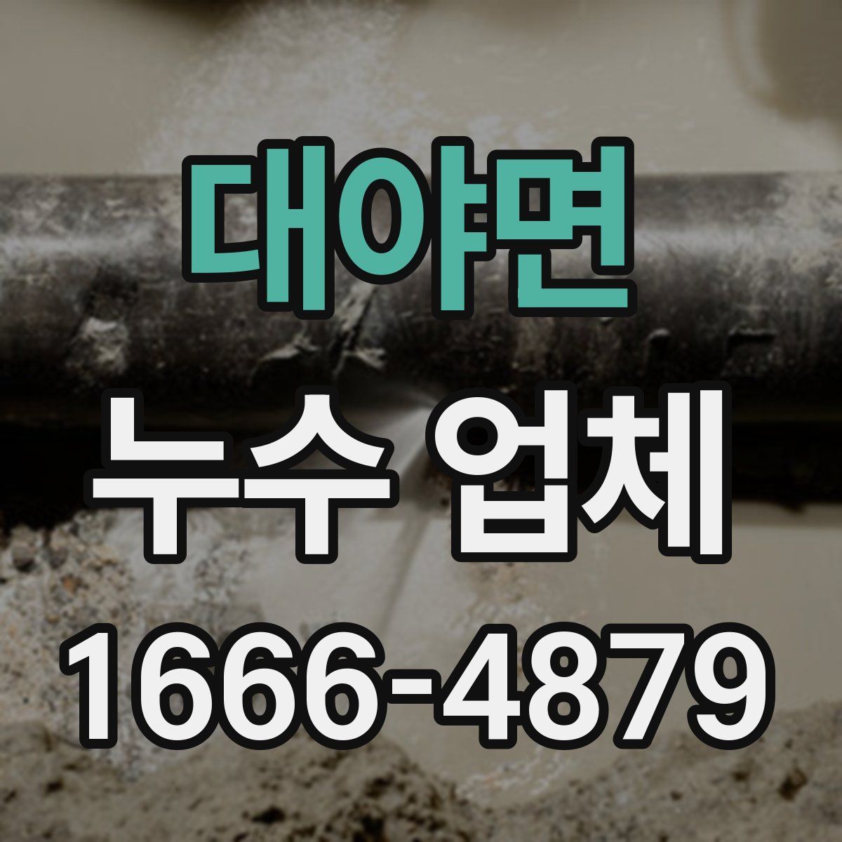 대야면 누수 업체
