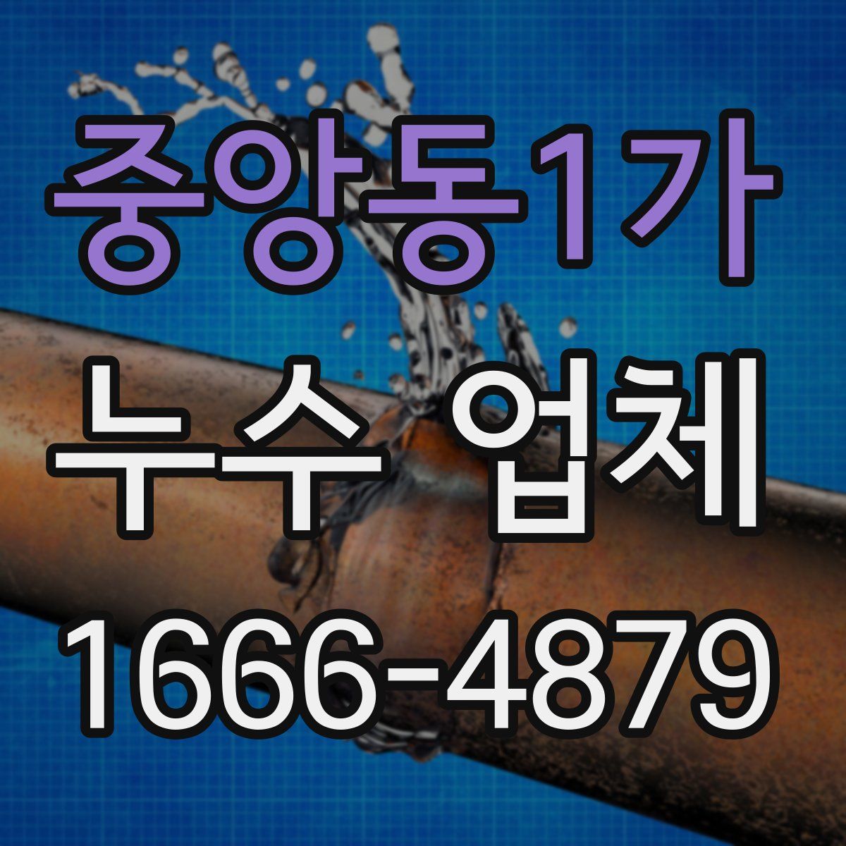 중앙동1가 누수 업체