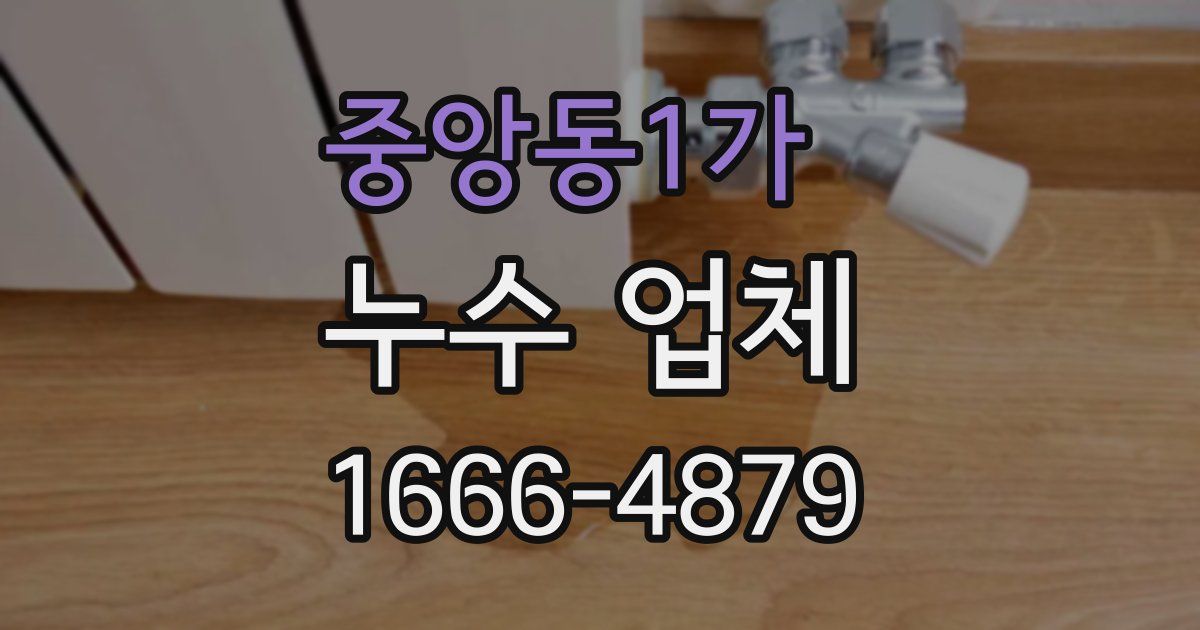 중앙동1가 누수 업체