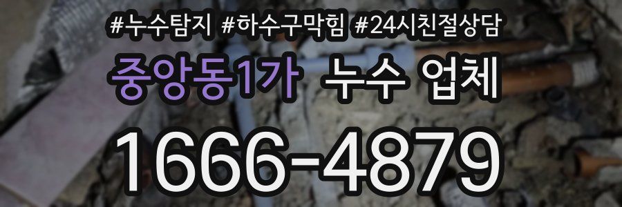 중앙동1가 누수 업체