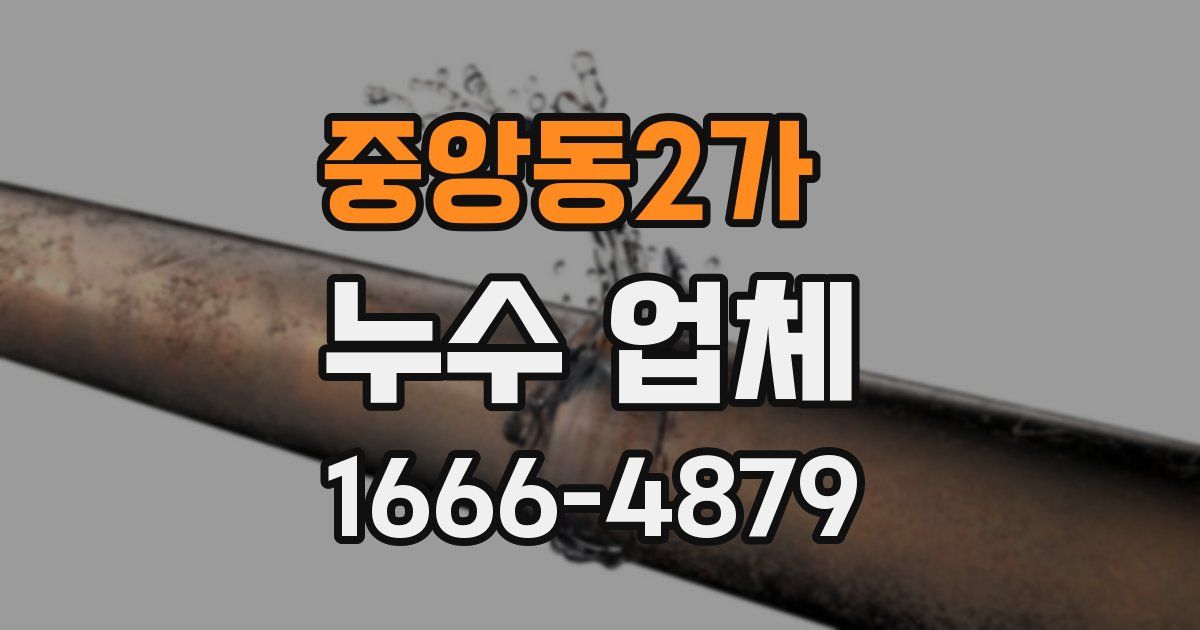 중앙동2가 누수 업체