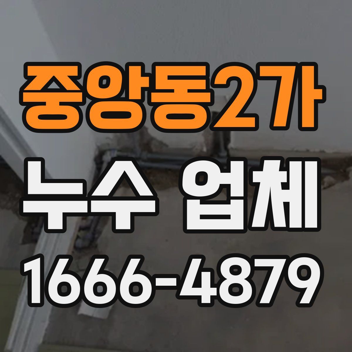 중앙동2가 누수 업체